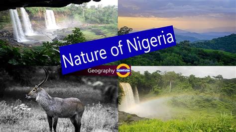 THE BEST Lagos Nature & Wildlife Areas (Updated 2024).